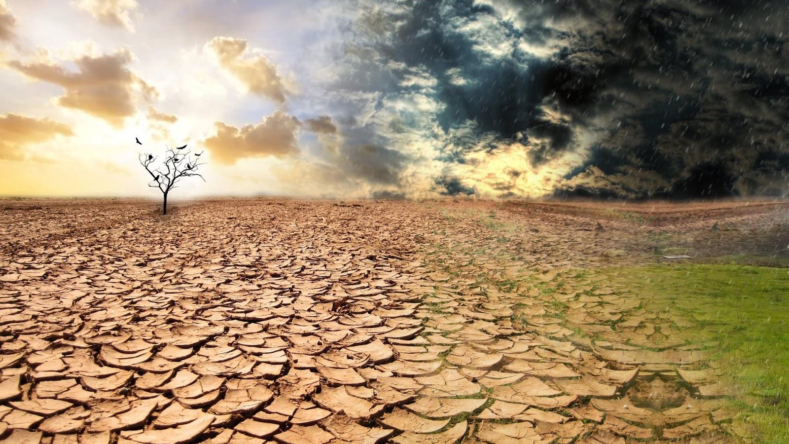 İklim Değişikliği ile Mücadele: Geleceğimizi Koruma Sorumluluğu